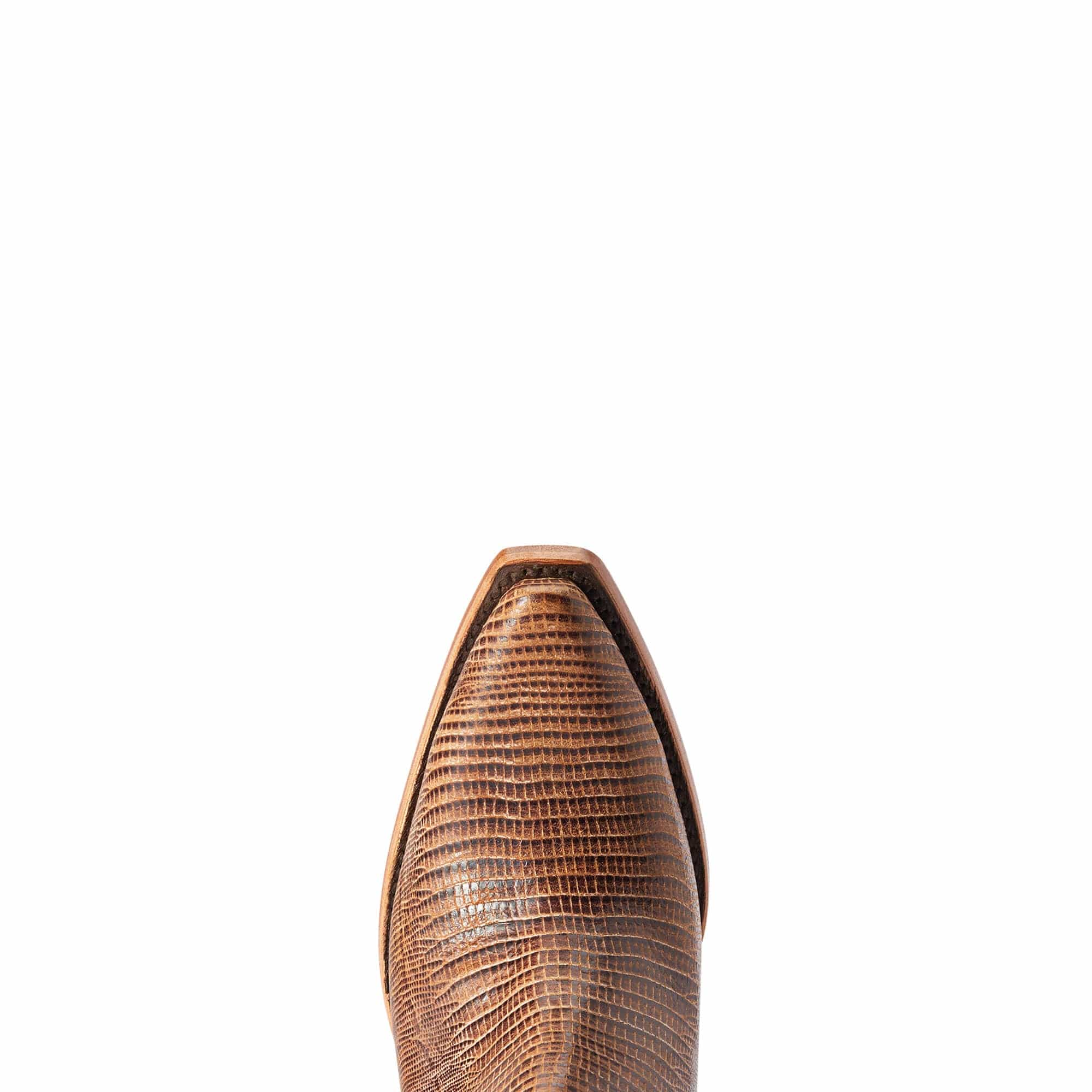 Ariat Women's Dixon Brown Lizard Print Booties 10042456 - Image 5