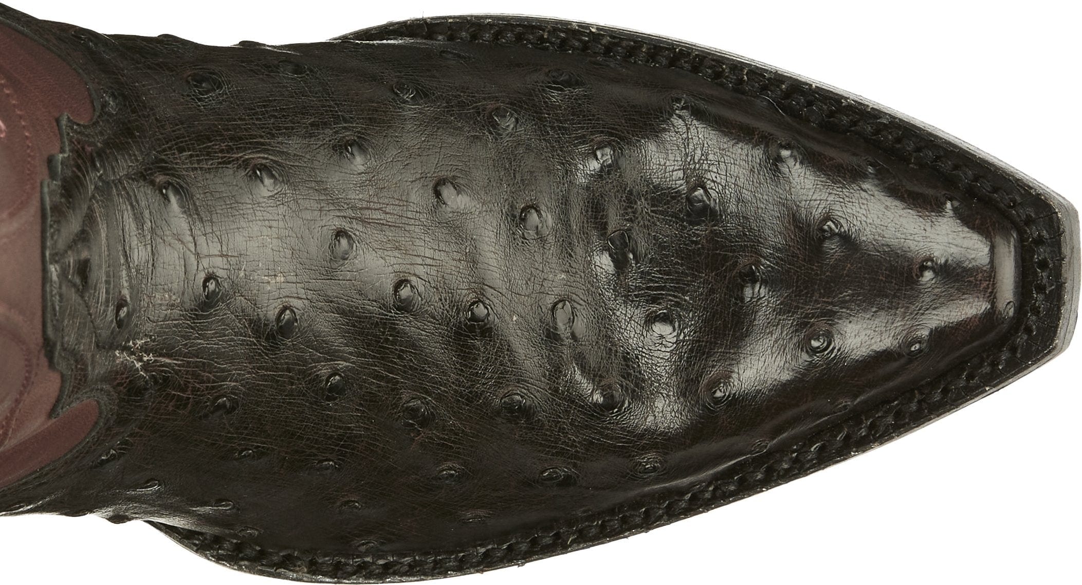 Tony Lama Women's Vaqueras Ines Black Cherry Full Quill Ostrich Western Boots VF3056 - Image 5